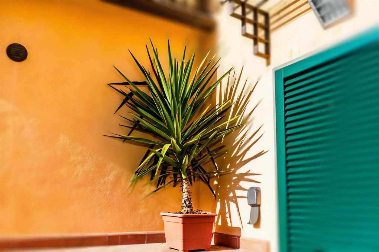 Advocata Nostra Incontro Di Storia E Centralita Siena Exterior foto